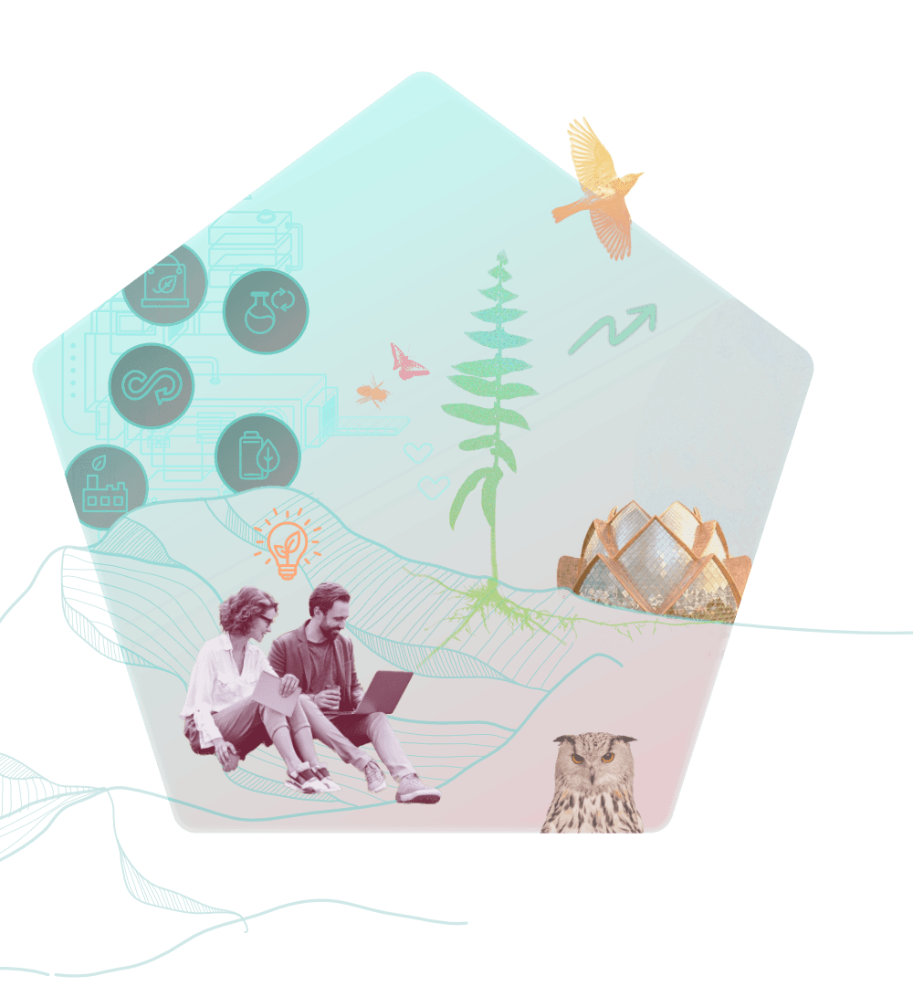 re:connect – ein regeneratives Ökosystem aus Menschen, Natur und Wirtschaft