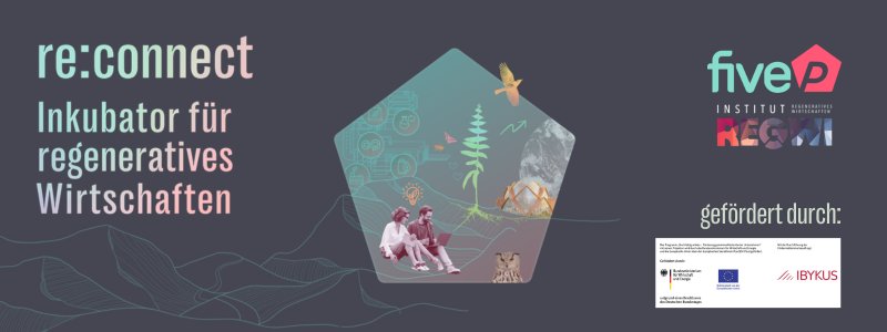 re:connect Newsletter-Banner im Querformat