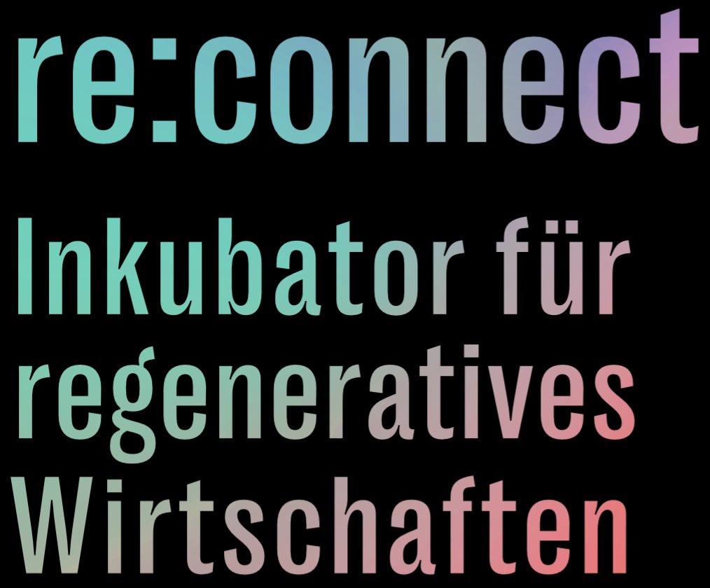 re:connect Wortmarke, Variante auf dunklem Grund