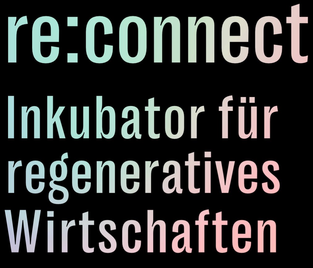 re:connect Wortmarke, helle Schrift auf dunklem Grund